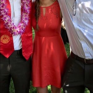 Poppy Laser Cut Dress